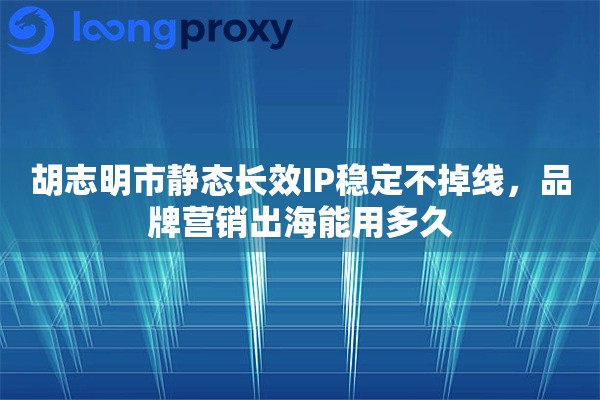 胡志明市静态长效IP稳定不掉线,品牌营销出海能用多久 胡志明市静态长效IP稳定不掉线,品牌营销出海能用多久