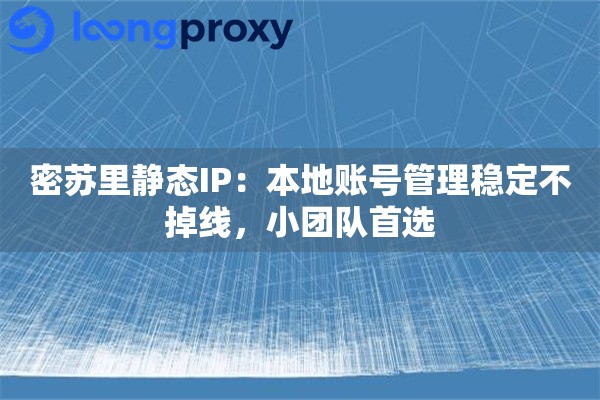 密苏里静态IP:本地账号管理稳定不掉线,小团队首选 密苏里静态IP:本地账号管理稳定不掉线,小团队首选
