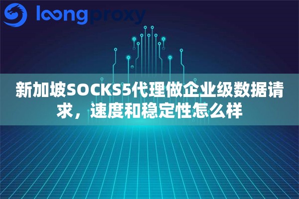 新加坡SOCKS5代理做企业级数据请求,速度和稳定性怎么样 新加坡SOCKS5代理做企业级数据请求,速度和稳定性怎么样