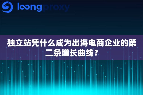 独立站凭什么成为出海电商企业的第二条增长曲线？