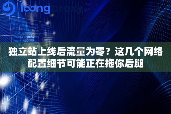 独立站上线后流量为零？这几个网络配置细节可能正在拖你后腿