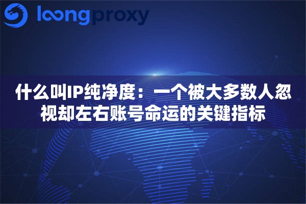 什么叫IP纯净度：一个被大多数人忽视却左右账号命运的关键指标