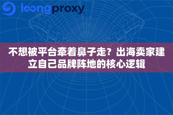 不想被平台牵着鼻子走？出海卖家建立自己品牌阵地的核心逻辑