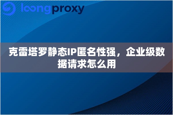 克雷塔罗静态IP匿名性强，企业级数据请求怎么用