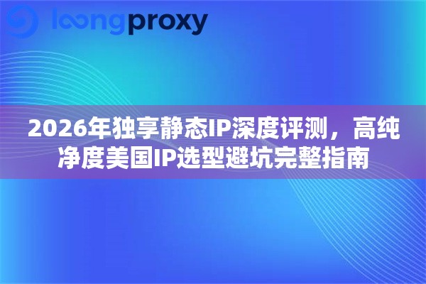 2026年独享静态IP深度评测，高纯净度美国IP选型避坑完整指南
