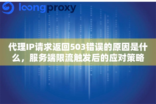 代理IP请求返回503错误的原因是什么,服务端限流触发后的应对策略 代理IP请求返回503错误的原因是什么,服务端限流触发后的应对策略