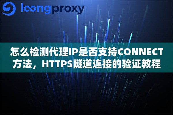 怎么检测代理IP是否支持CONNECT方法,HTTPS隧道连接的验证教程 怎么检测代理IP是否支持CONNECT方法,HTTPS隧道连接的验证教程