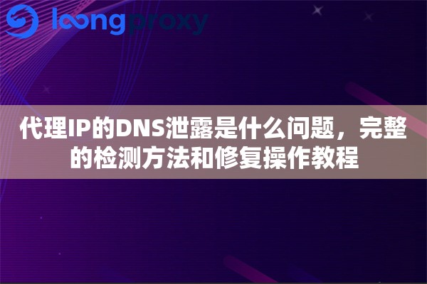 代理IP的DNS泄露是什么问题，完整的检测方法和修复操作教程