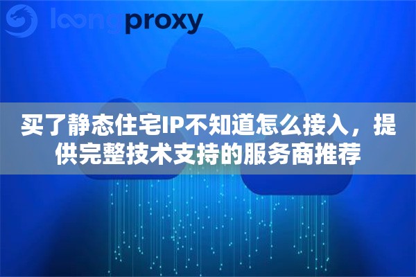 买了静态住宅IP不知道怎么接入，提供完整技术支持的服务商推荐
