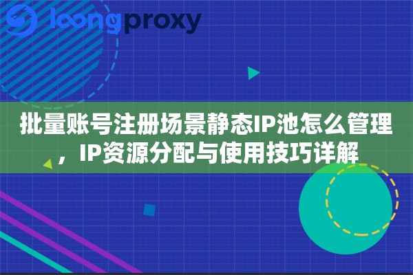 批量账号注册场景静态IP池怎么管理，IP资源分配与使用技巧详解