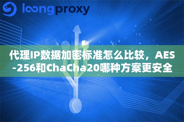 代理IP数据加密标准怎么比较，AES-256和ChaCha20哪种方案更安全