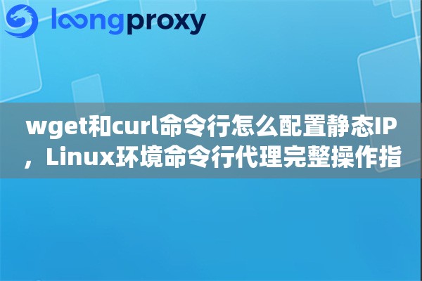 wget和curl命令行怎么配置静态IP，Linux环境命令行代理完整操作指南