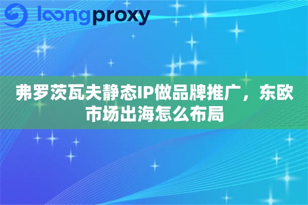 弗罗茨瓦夫静态IP做品牌推广，东欧市场出海怎么布局