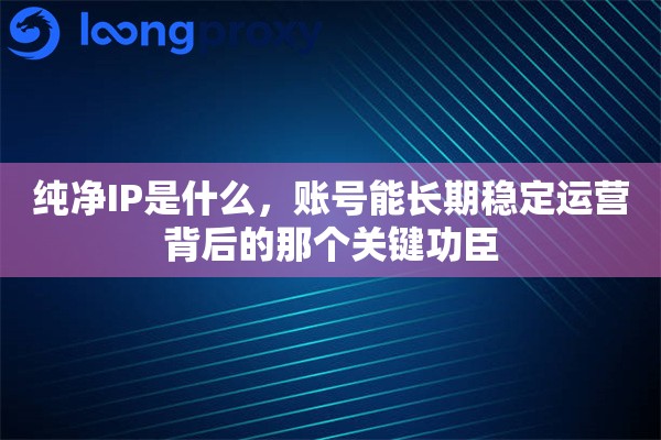 纯净IP是什么，账号能长期稳定运营背后的那个关键功臣