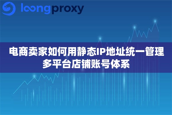 电商卖家如何用静态IP地址统一管理多平台店铺账号体系