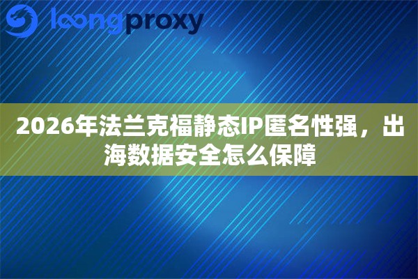 2026年法兰克福静态IP匿名性强，出海数据安全怎么保障