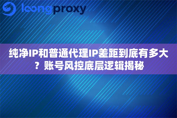 纯净IP和普通代理IP差距到底有多大？账号风控底层逻辑揭秘
