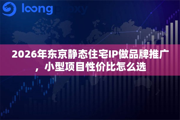 2026年东京静态住宅IP做品牌推广，小型项目性价比怎么选