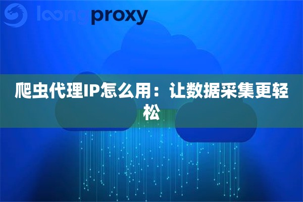 爬虫代理IP怎么用：让数据采集更轻松