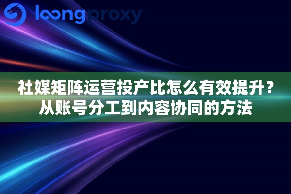 社媒矩阵运营投产比怎么有效提升？从账号分工到内容协同的方法