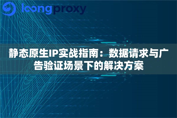 静态原生IP实战指南：数据请求与广告验证场景下的解决方案