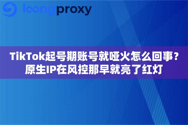 TikTok起号期账号就哑火怎么回事?原生IP在风控那早就亮了红灯 TikTok起号期账号就哑火怎么回事?原生IP在风控那早就亮了红灯