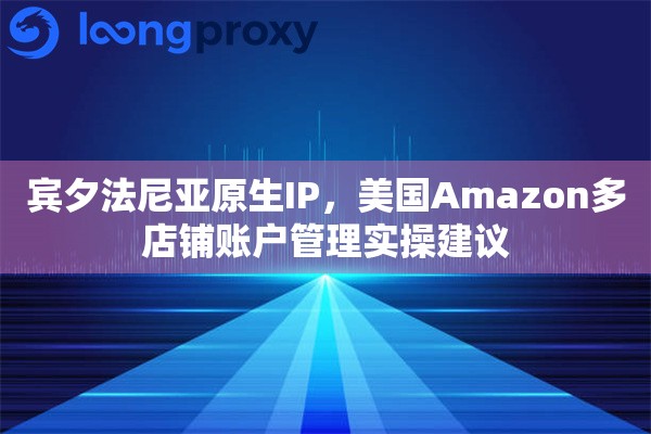 宾夕法尼亚原生IP,美国Amazon多店铺账户管理实操建议 宾夕法尼亚原生IP,美国Amazon多店铺账户管理实操建议