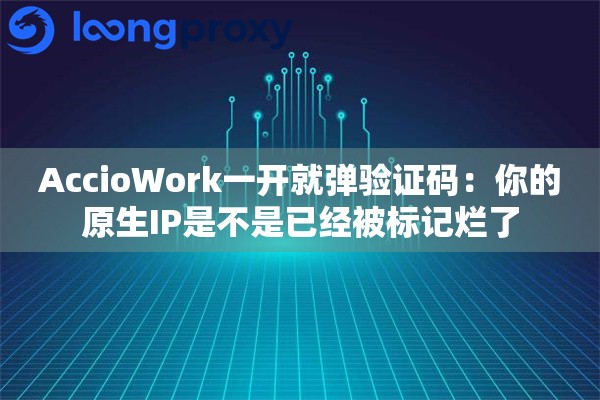 AccioWork一开就弹验证码：你的原生IP是不是已经被标记烂了