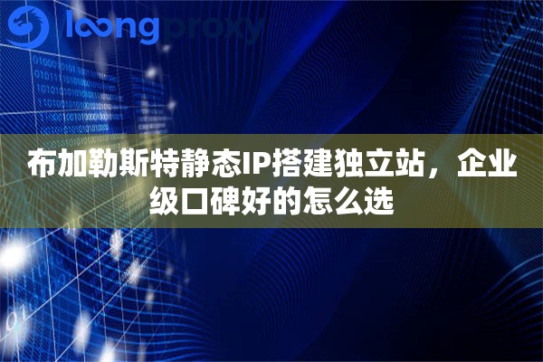 布加勒斯特静态IP搭建独立站，企业级口碑好的怎么选