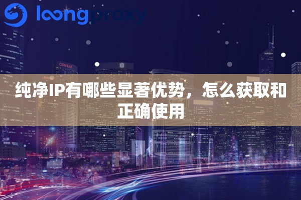 纯净IP有哪些显著优势,怎么获取和正确使用 纯净IP有哪些显著优势,怎么获取和正确使用