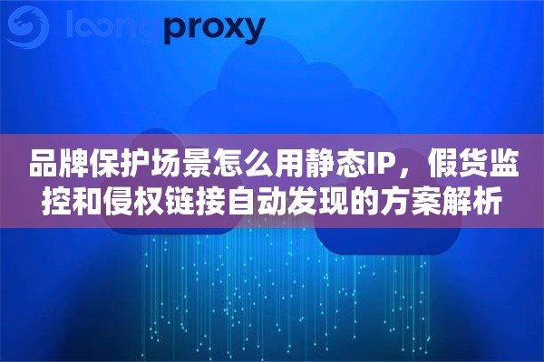 品牌保护场景怎么用静态IP,假货监控和侵权链接自动发现的方案解析 品牌保护场景怎么用静态IP,假货监控和侵权链接自动发现的方案解析
