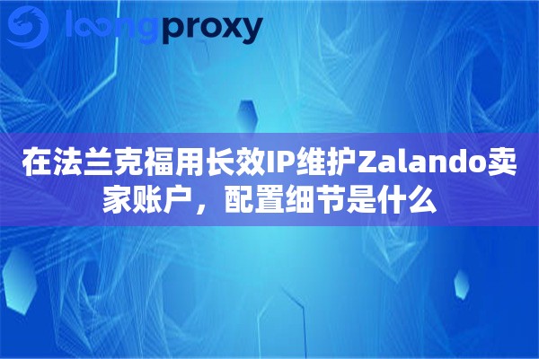 在法兰克福用长效IP维护Zalando卖家账户，配置细节是什么