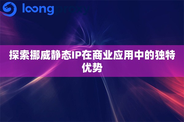 探索挪威静态IP在商业应用中的独特优势