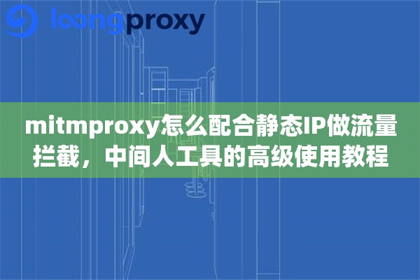 mitmproxy怎么配合静态IP做流量拦截，中间人工具的高级使用教程