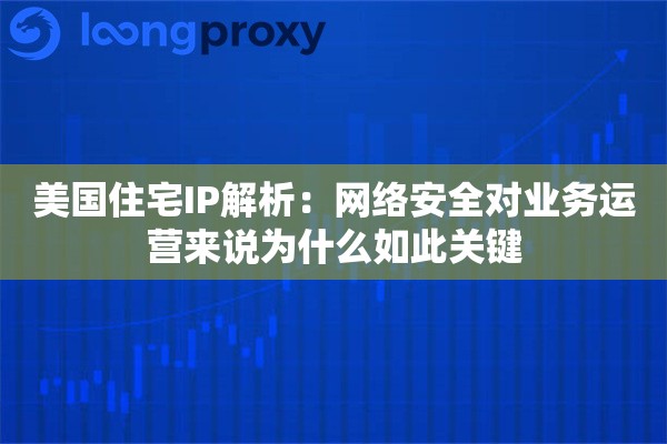 美国住宅IP解析:网络安全对业务运营来说为什么如此关键 美国住宅IP解析:网络安全对业务运营来说为什么如此关键