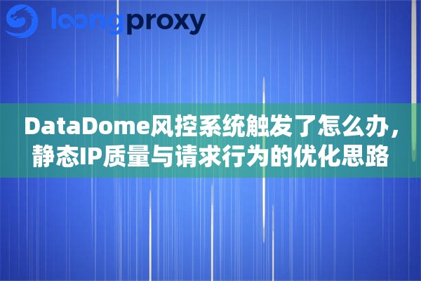 DataDome风控系统触发了怎么办,静态IP质量与请求行为的优化思路 DataDome风控系统触发了怎么办,静态IP质量与请求行为的优化思路