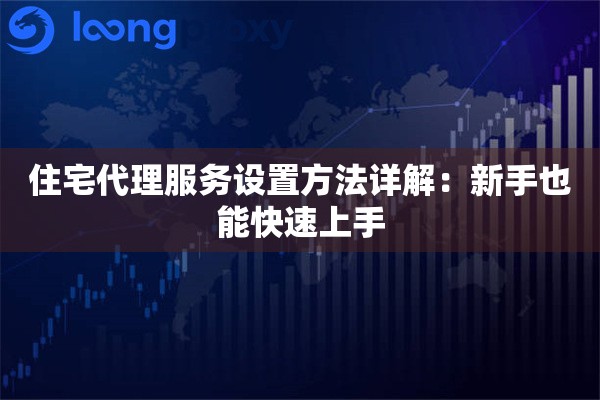 住宅代理服务设置方法详解：新手也能快速上手