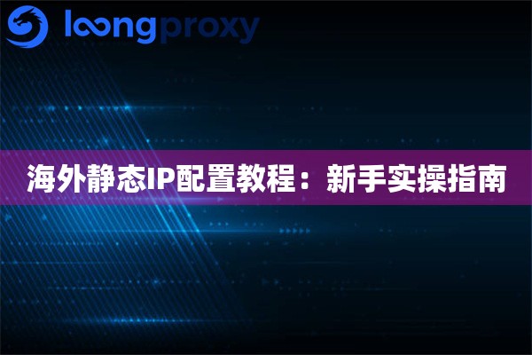 海外静态IP配置教程：新手实操指南