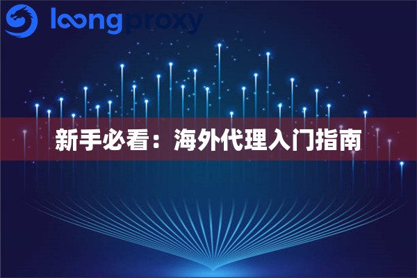 新手必看:海外代理入门指南 新手必看:海外代理入门指南