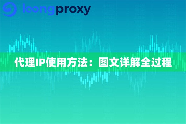 代理IP使用方法:图文详解全过程 代理IP使用方法:图文详解全过程