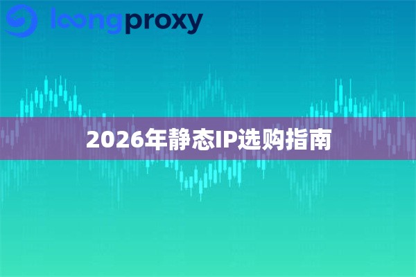 2026年静态IP选购指南