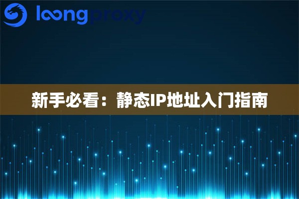 新手必看：静态IP地址入门指南