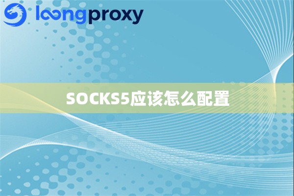 SOCKS5应该怎么配置