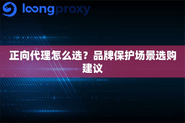 正向代理怎么选？品牌保护场景选购建议