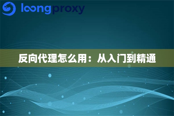 反向代理怎么用:从入门到精通 反向代理怎么用:从入门到精通