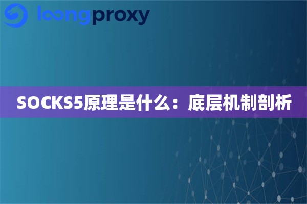 SOCKS5原理是什么:底层机制剖析 SOCKS5原理是什么:底层机制剖析
