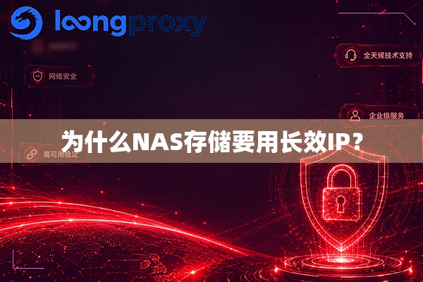 为什么NAS存储要用长效IP? 为什么NAS存储要用长效IP?