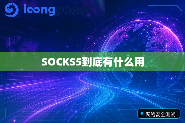 SOCKS5到底有什么用