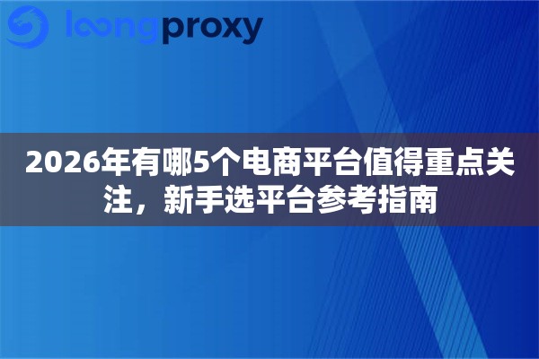2026年有哪5个电商平台值得重点关注，新手选平台参考指南