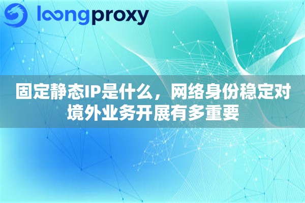 固定静态IP是什么，网络身份稳定对境外业务开展有多重要